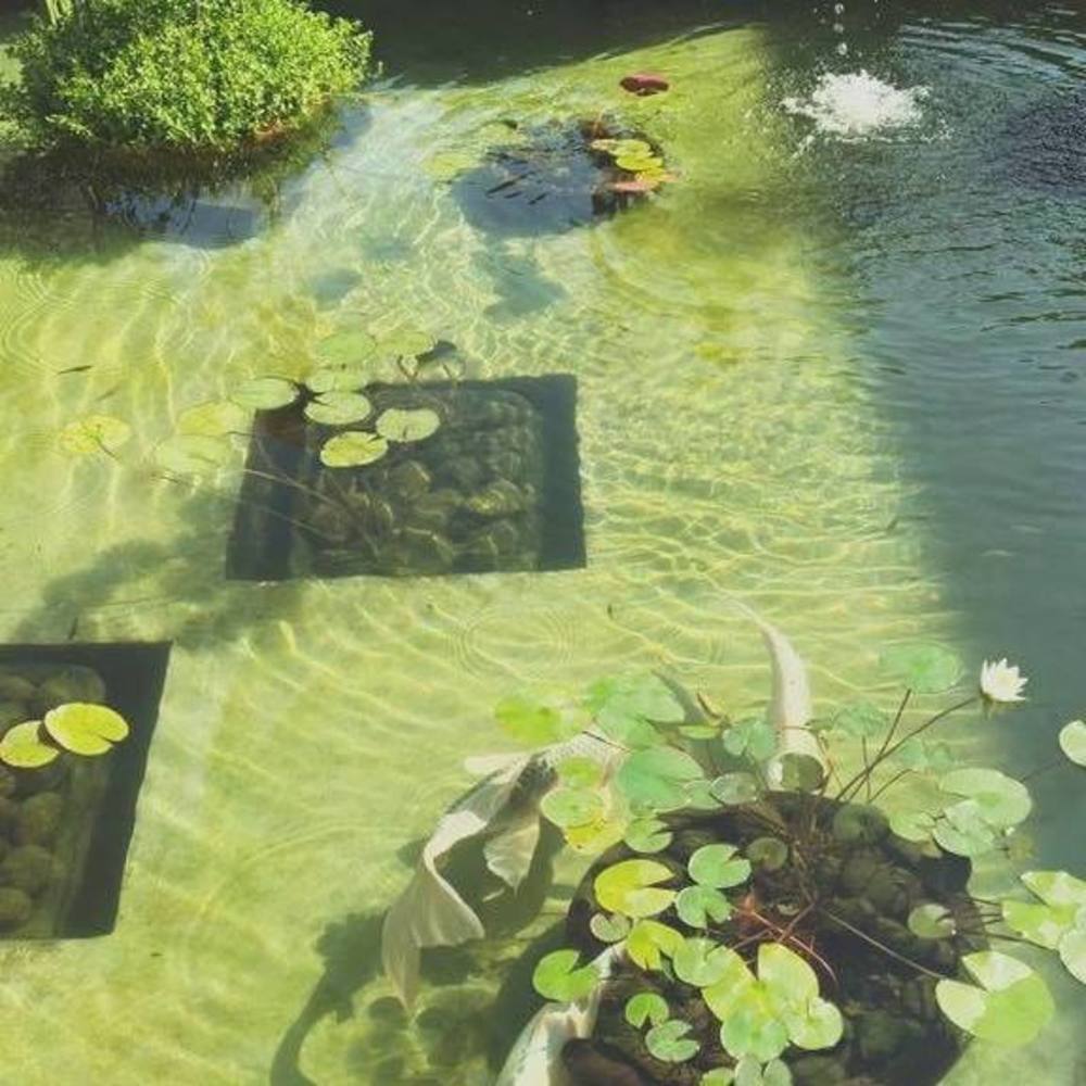 Meet your Posher, Chau